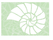 Wykład otwarty prof. Roberta A.D. Camerona