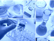 Wykład otwarty prof. Umberto Ricardiego