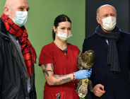 Z pomocą dzikim ptakom i ssakom