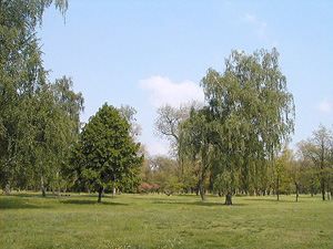 Tysiąclecia - Park