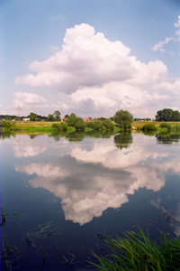 The Rogalin Landscape Park