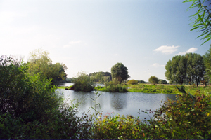 The Rogalin Landscape Park