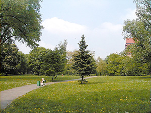 Park Marcinkowskiego