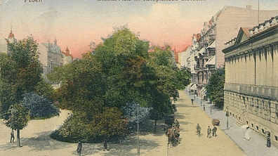 Pocztówka z XX wieku przedstawiająca pl. Wolności. Na nim drzewa i przechadzający się ludzie.