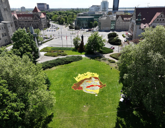 W parku Adama Mickiewicza od dziś do piątku można podziwiać dywan kwiatowy z wizerunkiem Chrobrego, fot. materiały SITO. Widok z lotu ptaka na park, w którego centrum znajduje się dywan z kwiatów z podobizną Bolesława Chrobrego w złotej koronie. Z tyłu widać Zamek Cesarski i budunek Uniwersytetu im. Adama Mickiewicza.