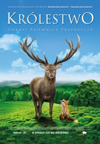Plakat filmu Królestwo