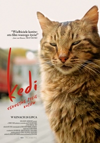 Plakat filmu Kedi - sekretne życie kotów