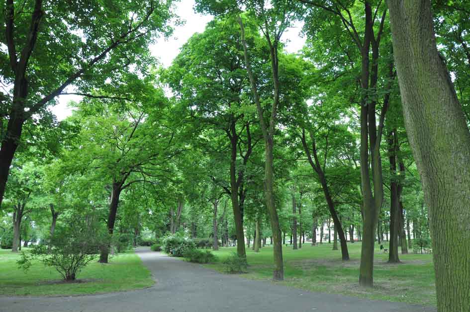 Park Gustawa Manitiusa