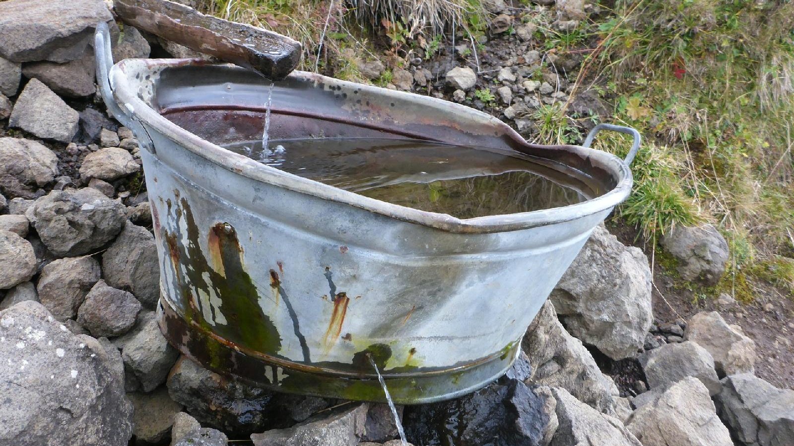 The photo shows a large tin water bowl. The bowl is standing outside on rocks. - grafika artykułu