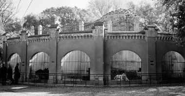 Black and white photo of cages for animals. The picture presents semi-circular gratings in a concrete wall. In the background a stony hill surrounded with railing and trees.