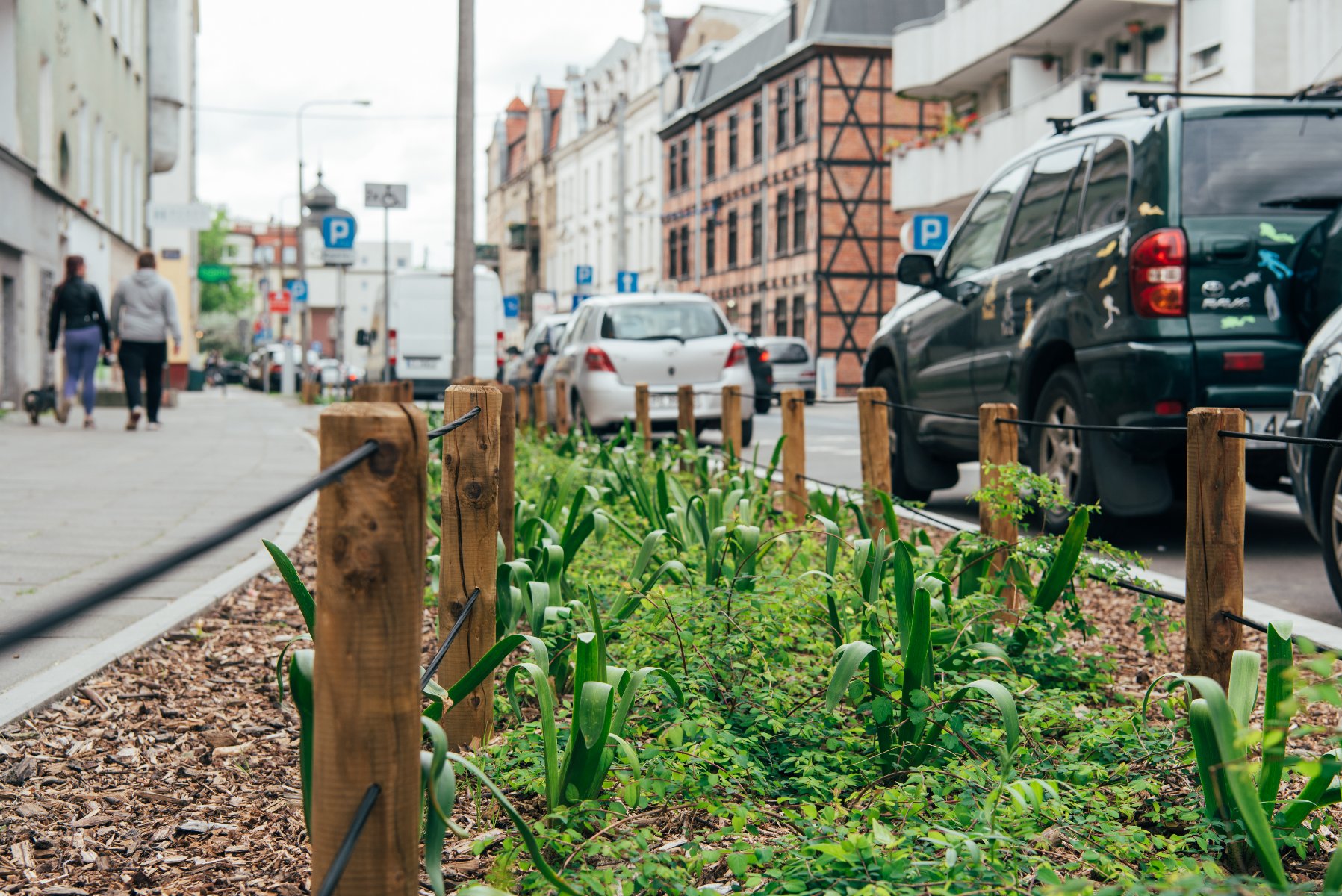 The photo gallery shows the greenery next to the road lanes. - grafika artykułu