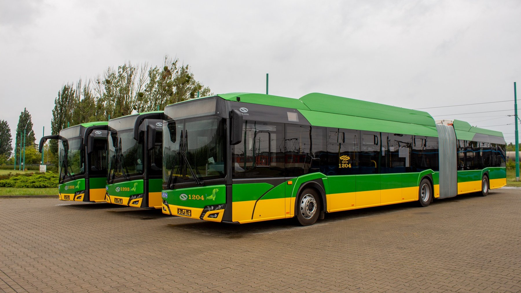 New electric buses at the depot