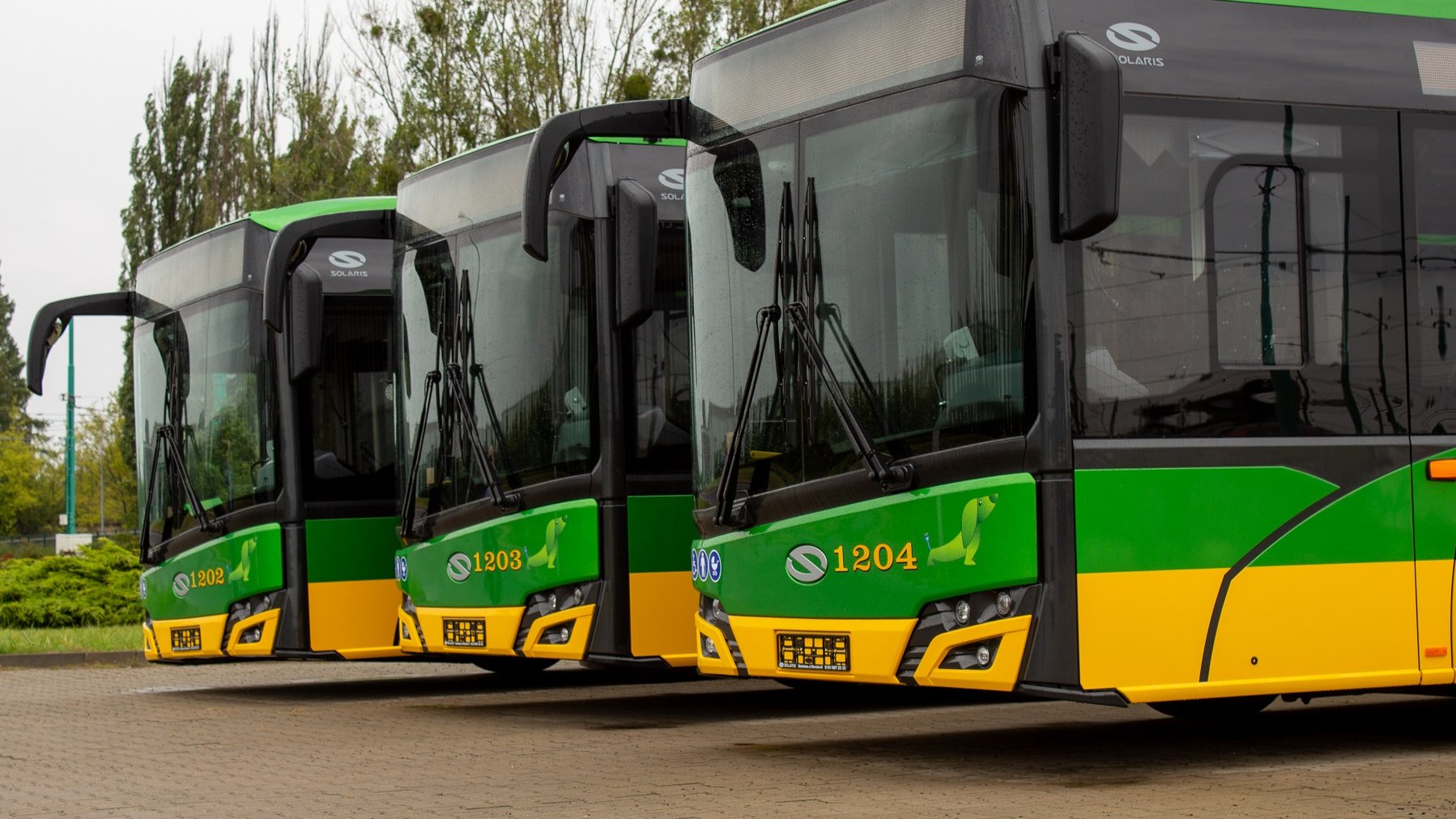 New electric buses at the depot