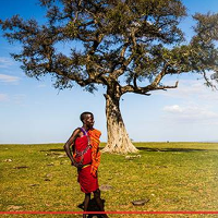 Autochtoni z Masai Mara - plakat