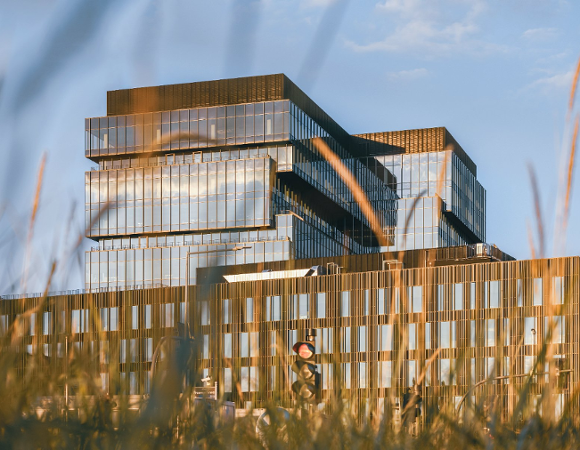 Budynek D w kompleksie biurowców Nowy Rynek.