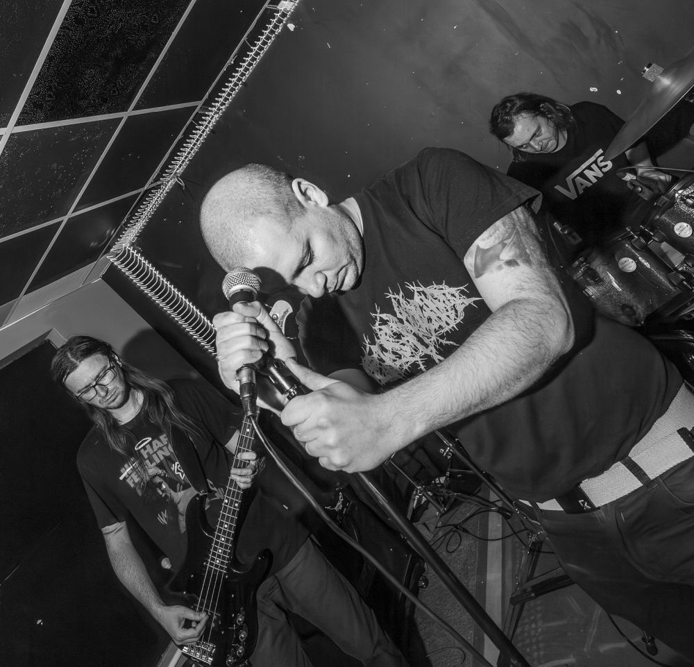 Karaluch, fot. darthbarth Czarno-białe zdjęcie zespołu punkowego na scenie. Na pierwszym planie wokalista, łysy mężczyzna z tatuażem, który opiera czoło o mikrofon na statywie.