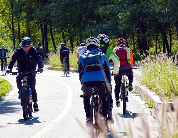 Droga rowerowa z jadącymi rowerzystami cięgnąca się wśród drzew.