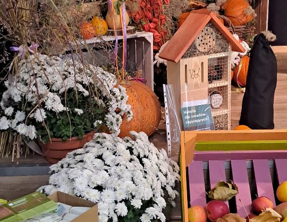 Dzień Architekta Krajobrazu - wystrój sceny w stylu jesieńnym z dominacją koloru pomarańczowego,białego i brązowego z widocznym Hotelikiem dla owadów.