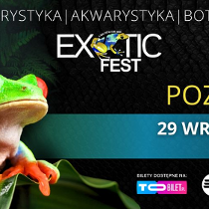 Plakat przedstawia egzotyczną ropuchę. Ma czerwone, duże oczy i czerwone nóżki. Jest zielona i siedzi na liściu.