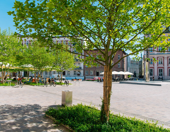 Galeria zdjęć z odnowionego placu Kolegiackiego. Na pierwszym planie fontanna, w tle drzewa a za nimi kamienice