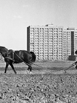 Na grafice plakat wydarzenia.