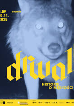 Grafika bazująca na nieostrej, prześwietlonej fotografii wilka. Zdjęcie w niebieskich barwach. Na nie nałożone żółte napisy: "6.09-30.11.2025, DRWAL, HISTORIE O MĘSKOŚCI, KURATOR: PRZEMYSŁAW JĘDROWSKI".