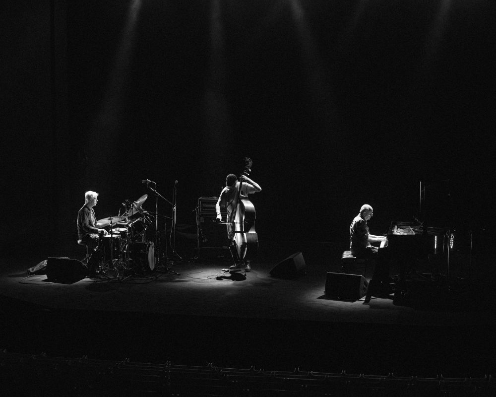 The Necks, fot. Traianos Pakioufakis Koncert, ciemność, trzech muzyków podczas występu oświetlonych jedynie punktowym światłem.