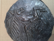 Konkurs "Najlepszy Przyjaciel Seniorów 2022" rozstrzygnięty!