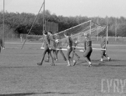 "Lechowa" kolekcja Cyryl-a