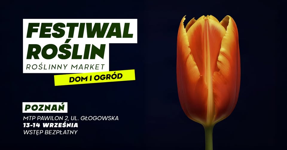 Już w weekend odbędzie się kolejny Festiwal Roślin! / fot. materiały organizatora Na ciemnym tle rozkwitający, pomarańczowy tulipan. Po lewej zielony napis na białym tle "Festiwal roślin. Roślinny Market". Pod spodem na żółtym tle "Dom i ogród". Na dole napis "Poznań. MTP Pawilon 2, ul. Głogowska, 13-14 września. Wstęp bezpłatny."