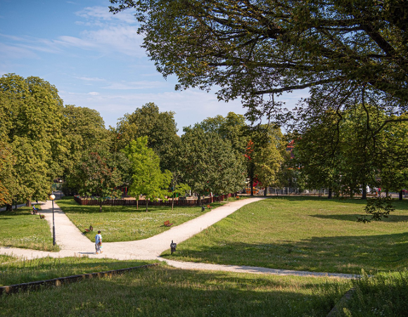 Na stronie widać zdjęcie parku,