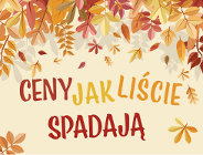 Obniżka cen wybranych publikacji Wydawnictwa Miejskiego Posnania