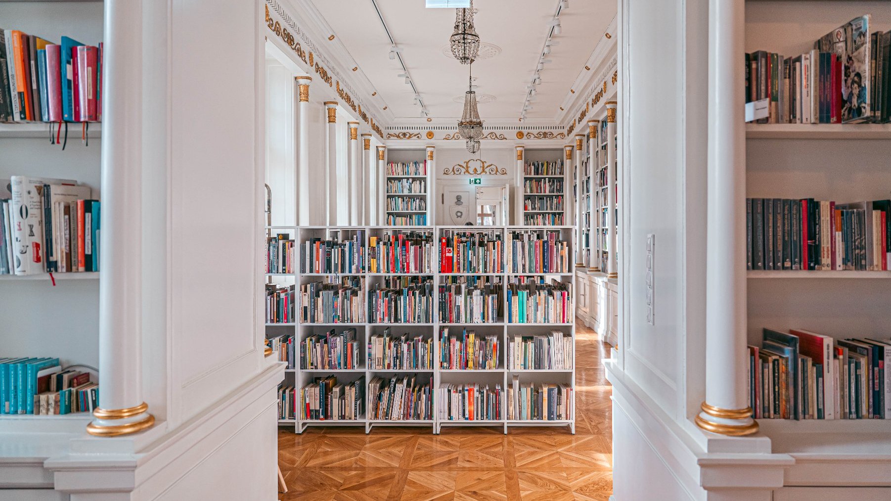 Zdjęcie przedstawia wnętrze biblioteki. Widać na nim półki z książkami.
