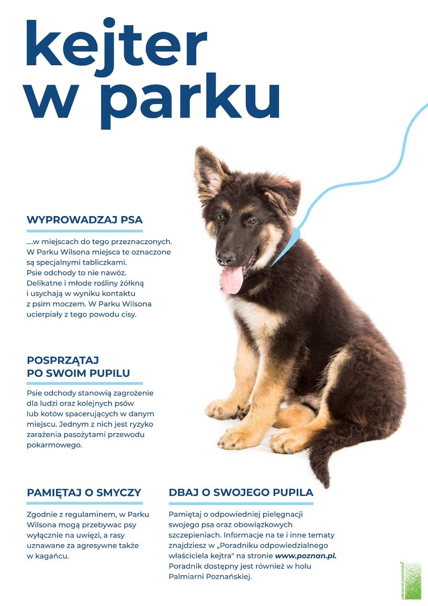Park Wilsona dostępny dla spacerowiczów z psami - grafika artykułu