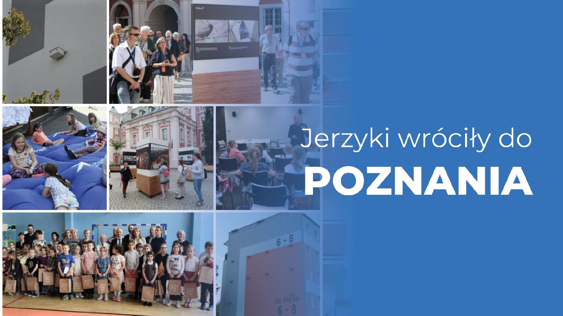 Miejski program ochrony jerzyków zakłada szeroką współpracę ze szkołami, ekspertami, przyrodnikami, społecznikami oraz inwestorami i architektami/zdjęcia archiwalne - grafika artykułu