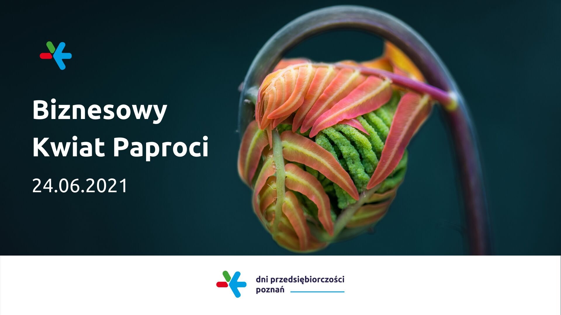 DPP 2021 - teaser - grafika artykułu