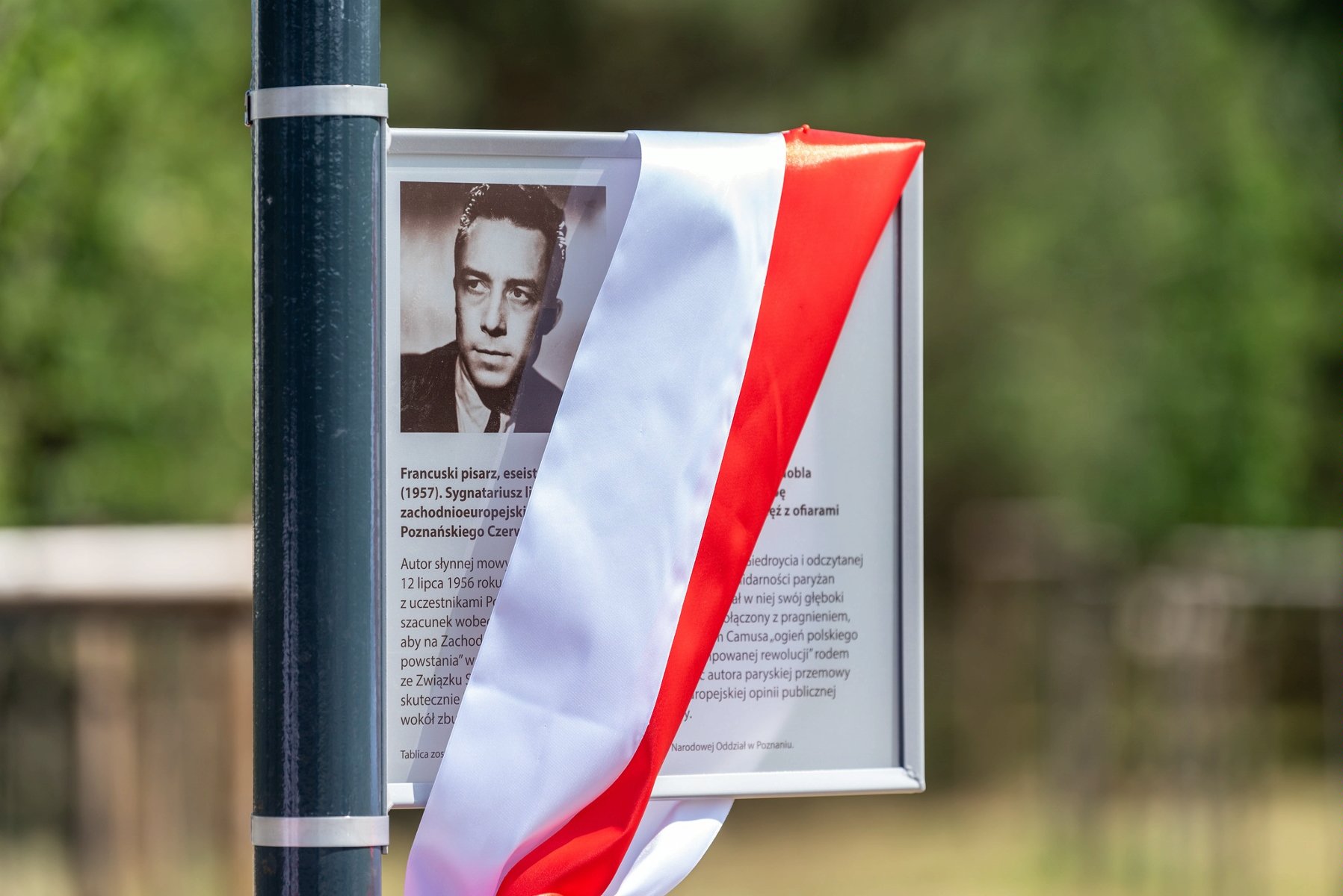 Tablica upamiętniająca Albera Camusa. Na tablicy zawieszono biało-czerwoną wstęgę. Na tablicy znajduje się zdjęcie Alberta Camusa i krótki opis. - grafika artykułu