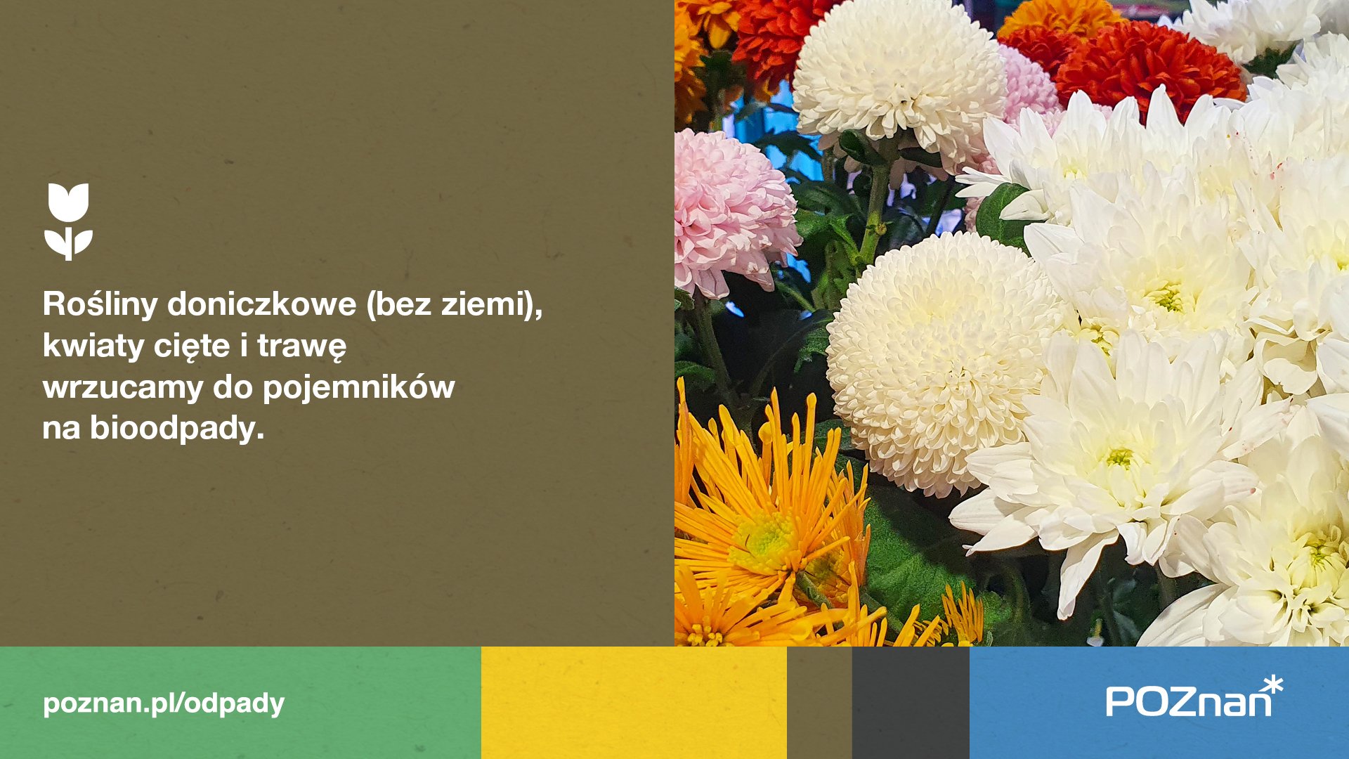 Kwiaty cięte i doniczkowe