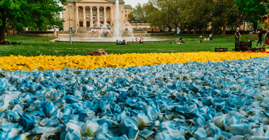 Żółte i niebieskie kwiaty tworzą flagę Ukrainy.