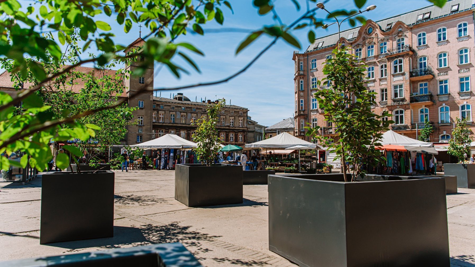 Zdjęcie przedstawia plac Bernardyński. Widać na nim donice z drzewami, w tle znajdują się stragany. - grafika artykułu