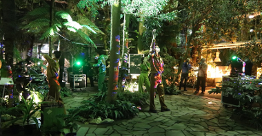 Zdjęcie przedstawia wydarzenie podczas poprzedniej nocy w palmiarni