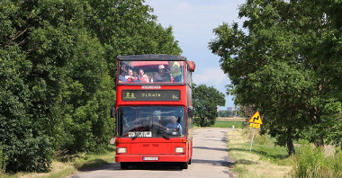 Na zdjęciu czerwony piętrowy autobus, jadący drogą wśród drzew