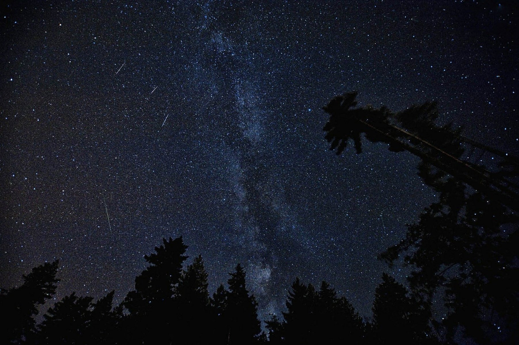 Zdjęcie przedstawia Drogę Mleczną nocą i kilka spadająych gwiazd - grafika artykułu