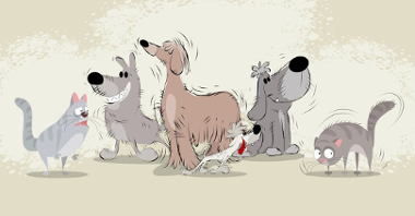 Plakat: rysunek czterech uśmiechniętych psów i dwóch kotów