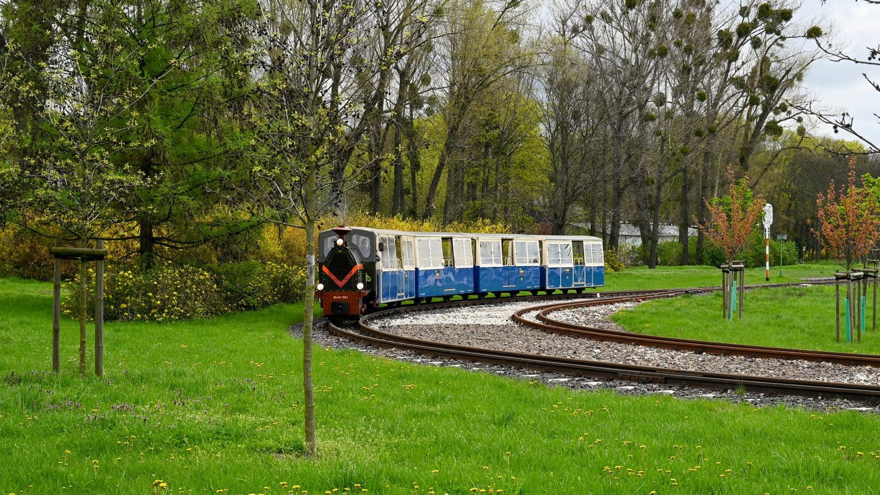 Niebieska kolejka parowa z czarną lokomotywą i czterema wagonami. Kolejka jedzie jednym z dwóch torów. W tle zielone drzewa i niskie, zielone krzewy.