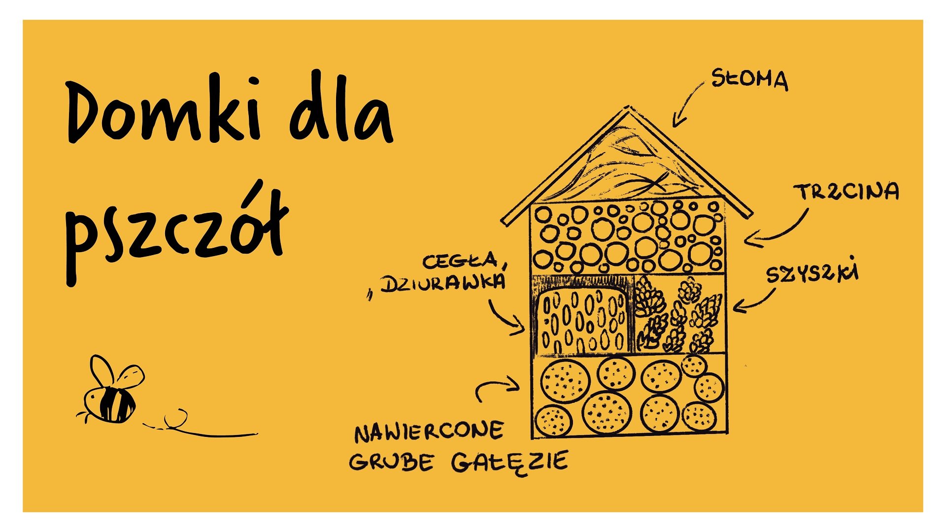 Domek dla owadów - rysunek poglądowy