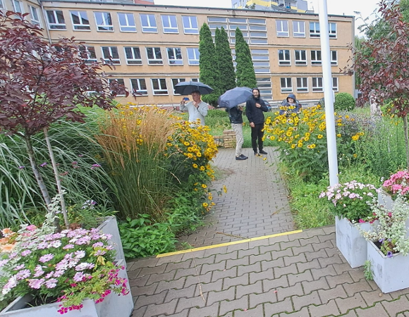 ocena Miejskiej Komisji Konkursowej w zgłoszonym obiekcie na zdjęciu widoczne donice ozdobne z kwiatami, w tle komisja ,trawy ozdobne ,zółte słoneczniczki szorstkie i budynek Szkoły