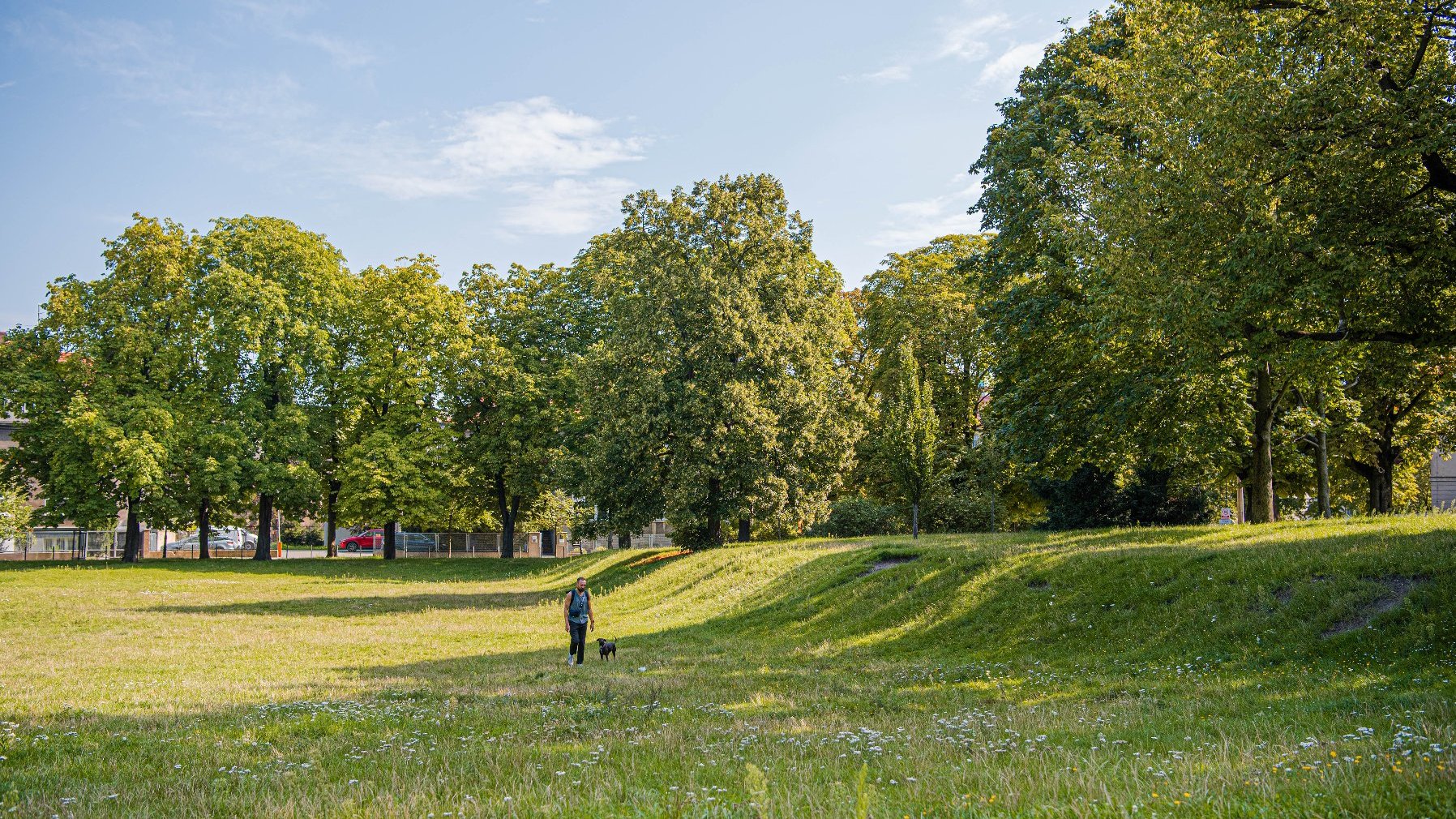 Zdjęcie2 - Park Wieniawskiego