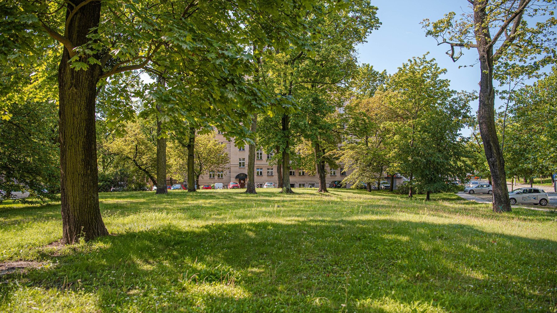Zdjęcie 14 - Park Wieniawskiego