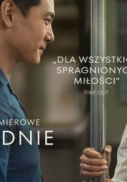 Plakat przedstawia kobietę i mężczyznę stojących w metrze. Oboje trzymają się słupa, każde z nich jedną ręką. W lewym dolnym rogu widnieje napis POPRZEDNIE ŻYCIE, a w centrum kadru cytat "DLA WSZYSTKICH SPRAGNIONYCH MIŁOŚCI".